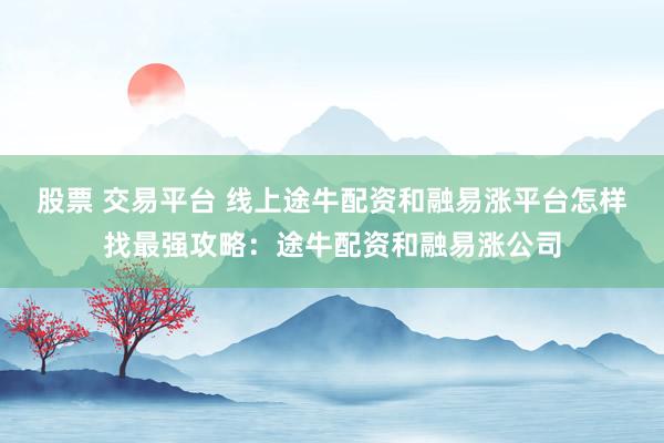 股票 交易平台 线上途牛配资和融易涨平台怎样找最强攻略:途牛配资和融易涨公司