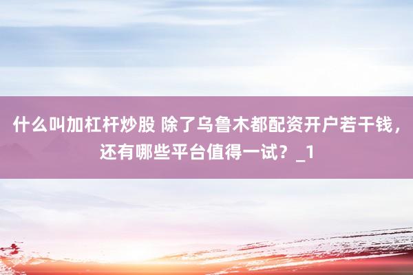 什么叫加杠杆炒股 除了乌鲁木都配资开户若干钱，还有哪些平台值得一试？_1
